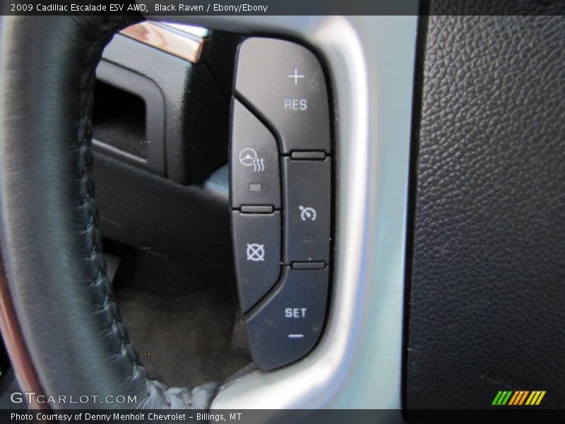 Black Raven / Ebony/Ebony 2009 Cadillac Escalade ESV AWD