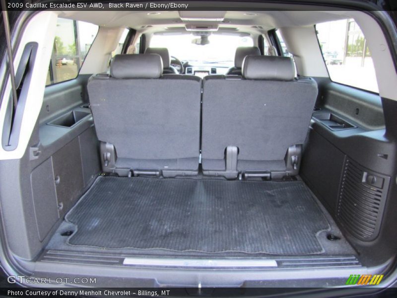 Black Raven / Ebony/Ebony 2009 Cadillac Escalade ESV AWD