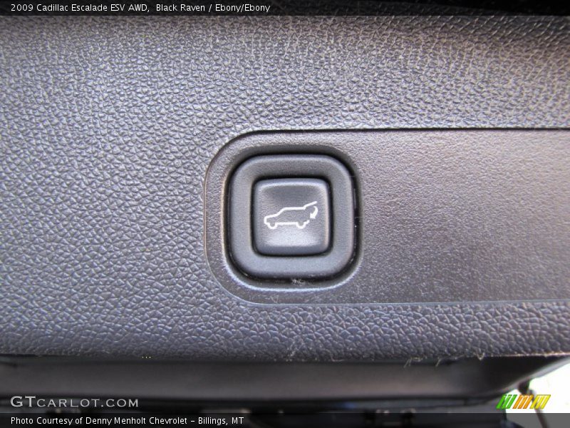 Black Raven / Ebony/Ebony 2009 Cadillac Escalade ESV AWD