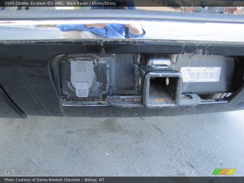 Black Raven / Ebony/Ebony 2009 Cadillac Escalade ESV AWD