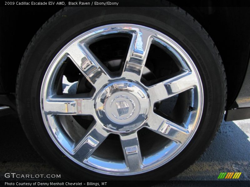 Black Raven / Ebony/Ebony 2009 Cadillac Escalade ESV AWD