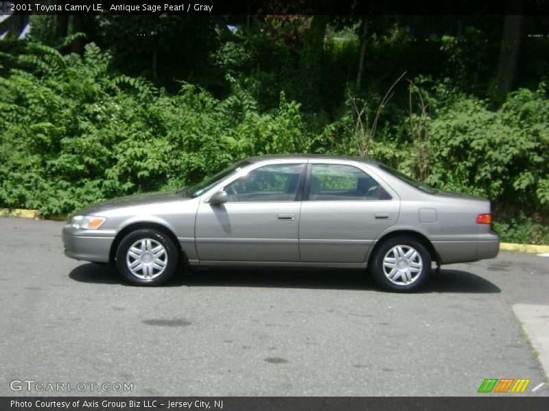 Antique Sage Pearl / Gray 2001 Toyota Camry LE