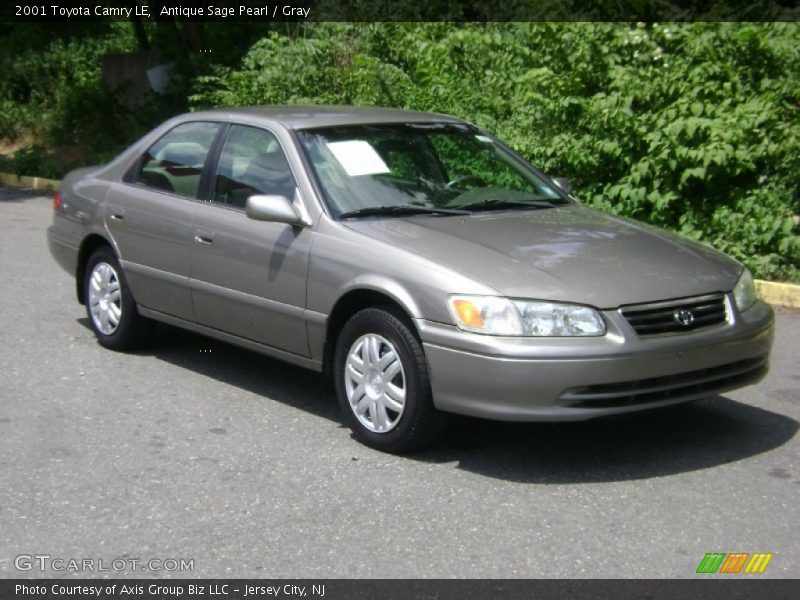 Antique Sage Pearl / Gray 2001 Toyota Camry LE