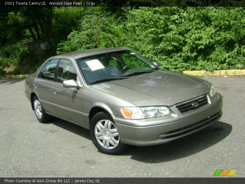 Antique Sage Pearl / Gray 2001 Toyota Camry LE