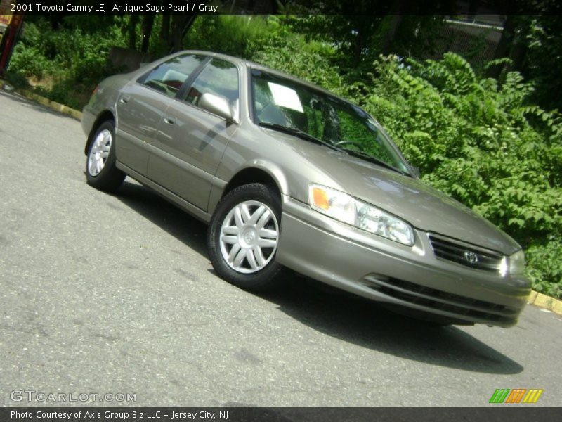 Antique Sage Pearl / Gray 2001 Toyota Camry LE