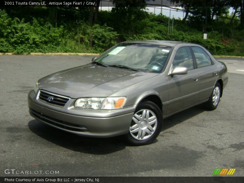 Antique Sage Pearl / Gray 2001 Toyota Camry LE