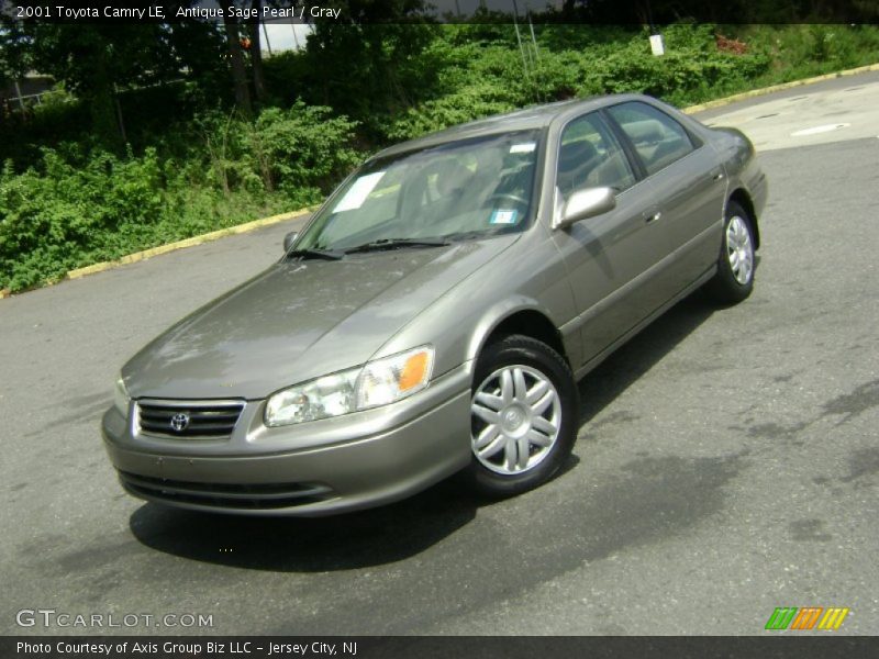 Antique Sage Pearl / Gray 2001 Toyota Camry LE