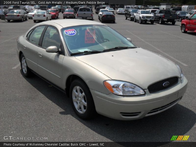 Gold Ash Metallic / Medium/Dark Pebble Beige 2006 Ford Taurus SEL