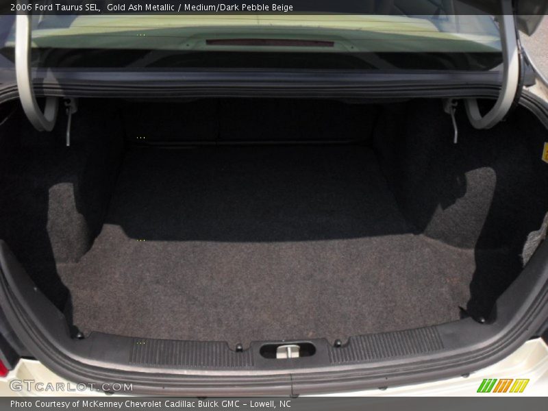 Gold Ash Metallic / Medium/Dark Pebble Beige 2006 Ford Taurus SEL