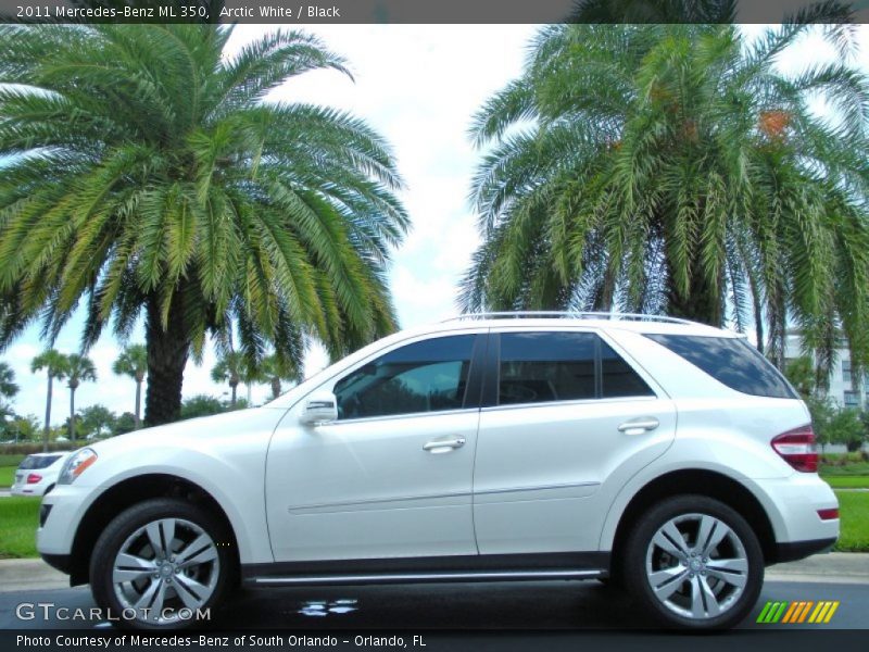 Arctic White / Black 2011 Mercedes-Benz ML 350