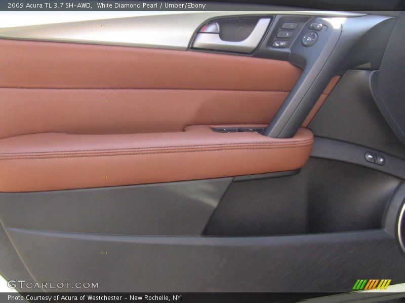 Door Panel of 2009 TL 3.7 SH-AWD