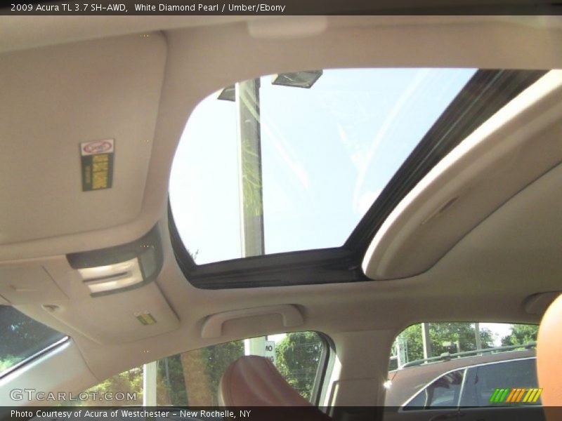 Sunroof of 2009 TL 3.7 SH-AWD