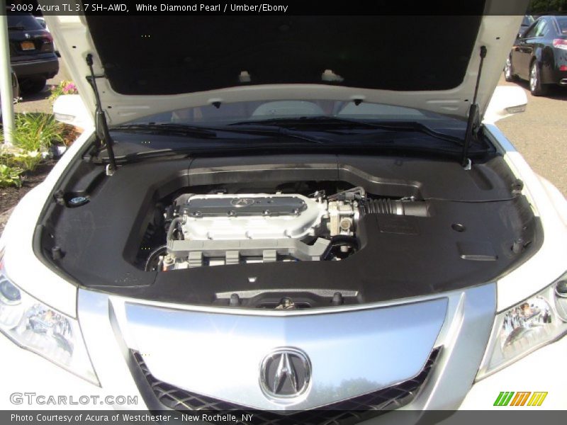  2009 TL 3.7 SH-AWD Engine - 3.7 Liter SOHC 24-Valve VTEC V6