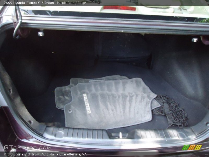 Purple Rain / Beige 2009 Hyundai Elantra GLS Sedan