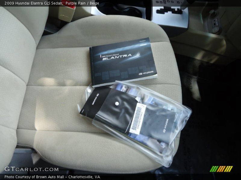 Purple Rain / Beige 2009 Hyundai Elantra GLS Sedan