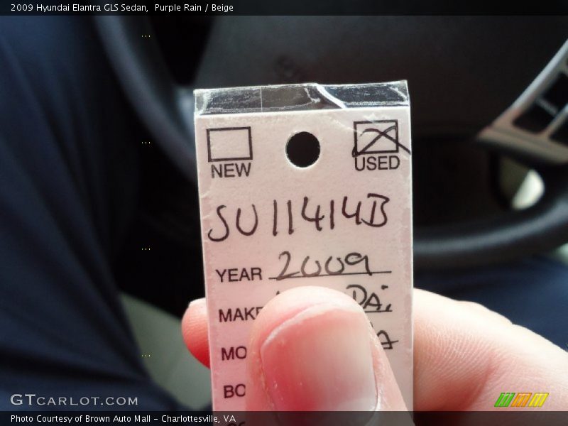 Purple Rain / Beige 2009 Hyundai Elantra GLS Sedan