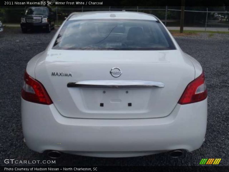 Winter Frost White / Charcoal 2011 Nissan Maxima 3.5 SV