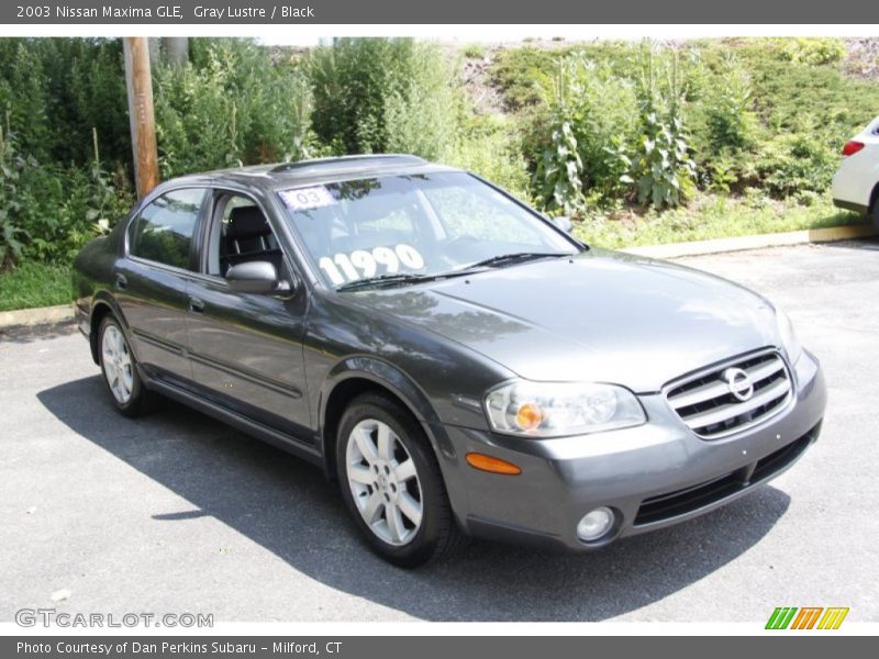 Gray Lustre / Black 2003 Nissan Maxima GLE