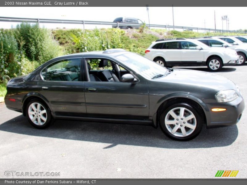 Gray Lustre / Black 2003 Nissan Maxima GLE