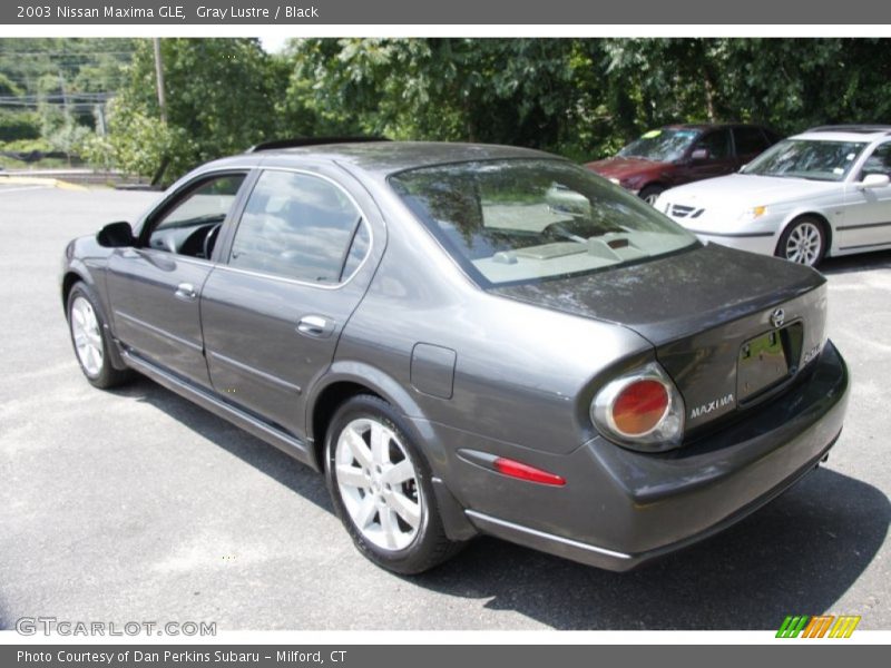 Gray Lustre / Black 2003 Nissan Maxima GLE
