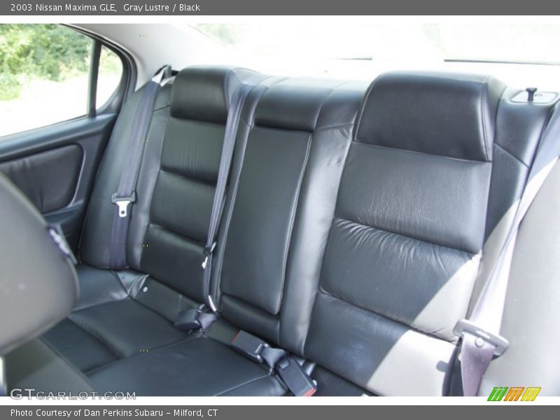 Gray Lustre / Black 2003 Nissan Maxima GLE