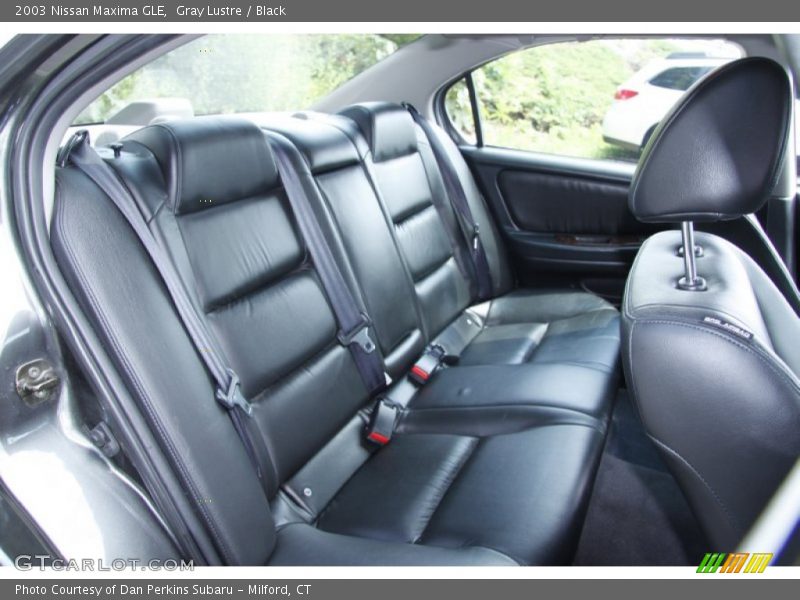 Gray Lustre / Black 2003 Nissan Maxima GLE