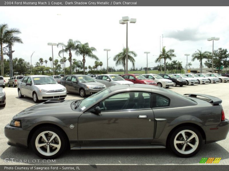 Dark Shadow Grey Metallic / Dark Charcoal 2004 Ford Mustang Mach 1 Coupe