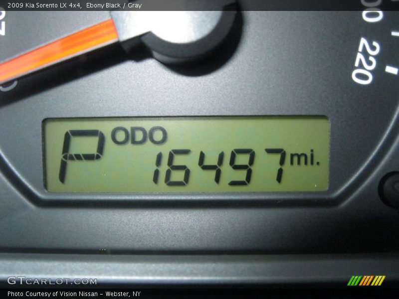Ebony Black / Gray 2009 Kia Sorento LX 4x4