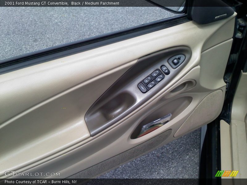 Door Panel of 2001 Mustang GT Convertible