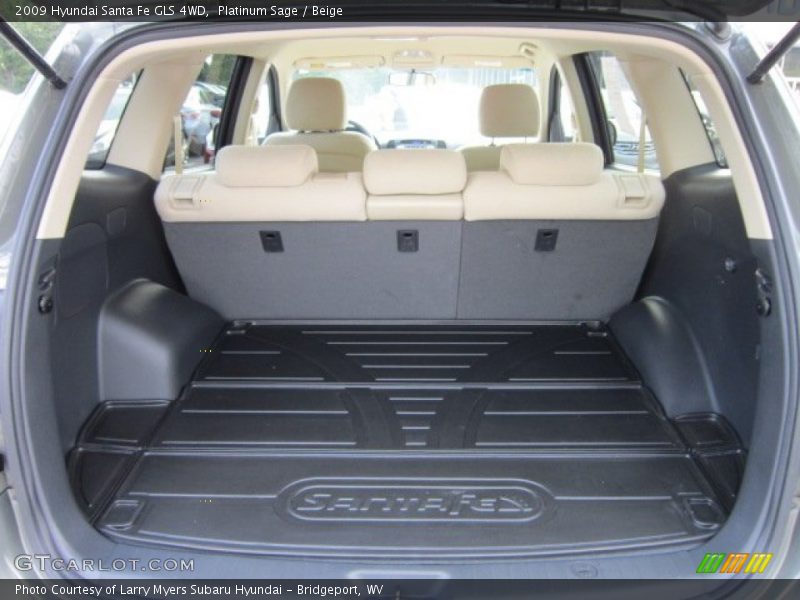 Platinum Sage / Beige 2009 Hyundai Santa Fe GLS 4WD