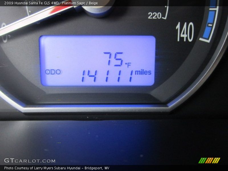 Platinum Sage / Beige 2009 Hyundai Santa Fe GLS 4WD