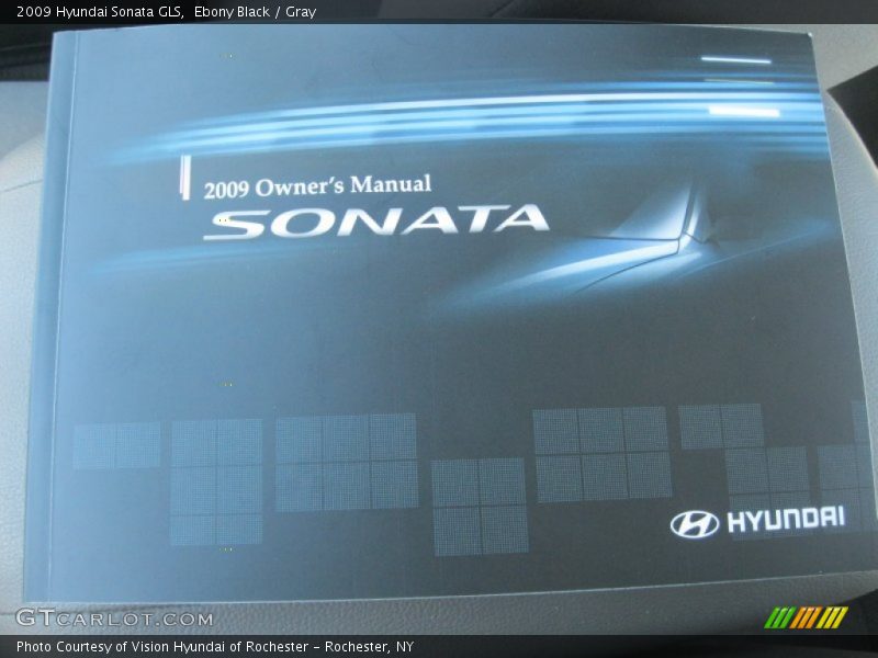 Ebony Black / Gray 2009 Hyundai Sonata GLS