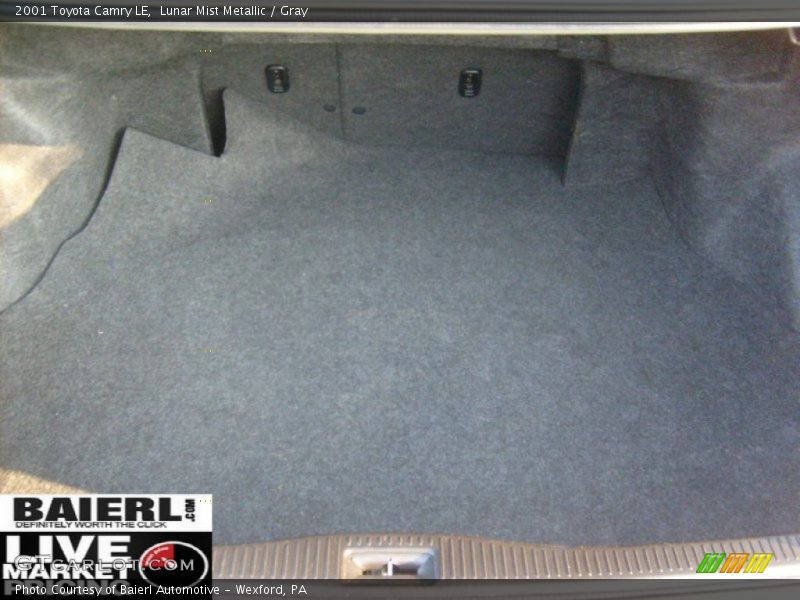 Lunar Mist Metallic / Gray 2001 Toyota Camry LE