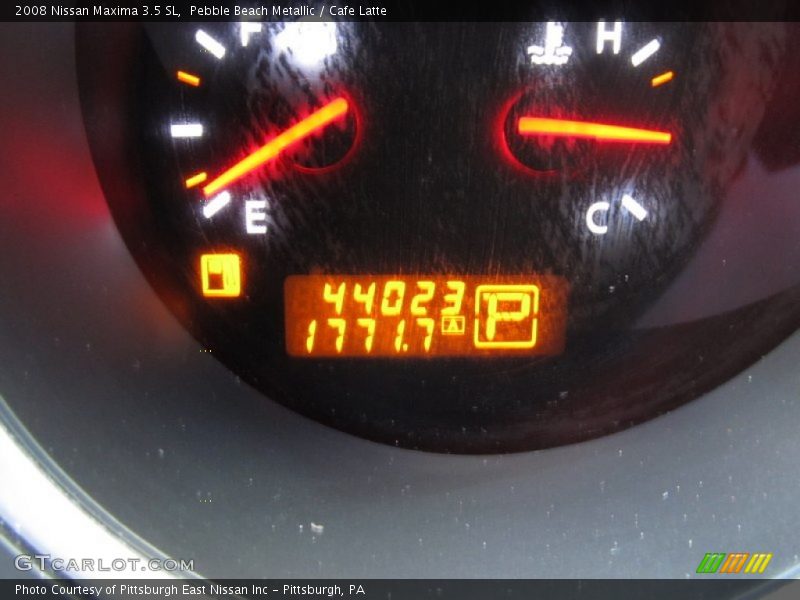 Pebble Beach Metallic / Cafe Latte 2008 Nissan Maxima 3.5 SL