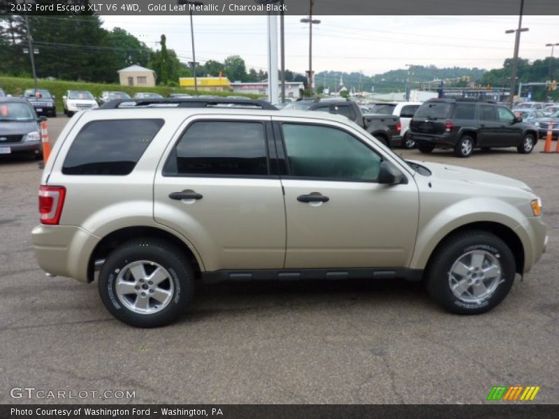  2012 Escape XLT V6 4WD Gold Leaf Metallic