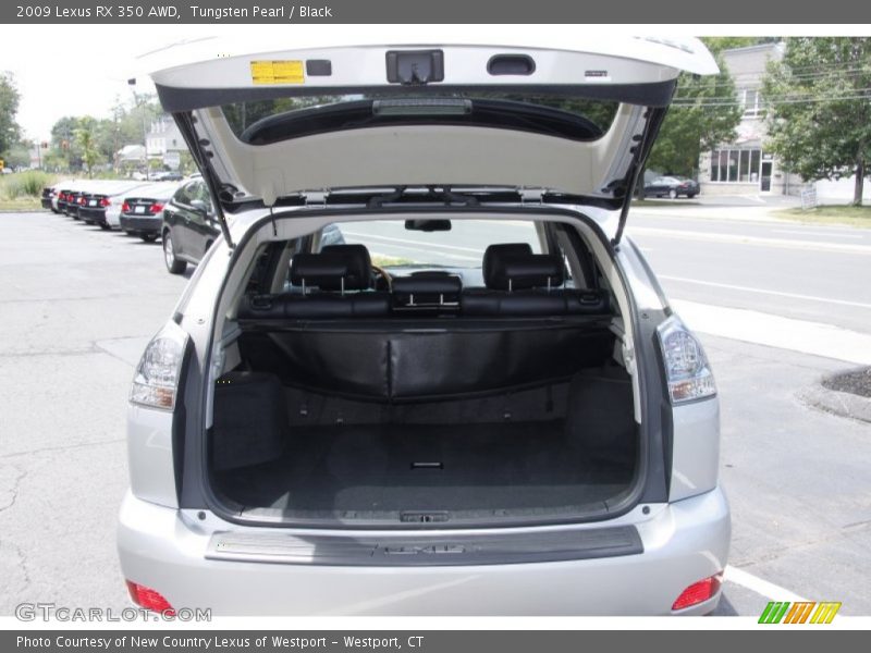 Tungsten Pearl / Black 2009 Lexus RX 350 AWD