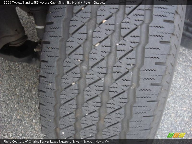 Silver Sky Metallic / Light Charcoal 2003 Toyota Tundra SR5 Access Cab