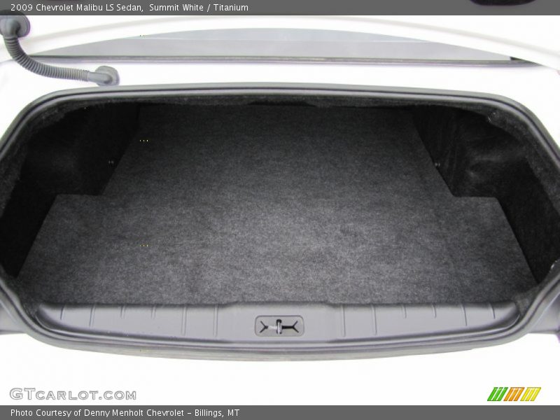 Summit White / Titanium 2009 Chevrolet Malibu LS Sedan
