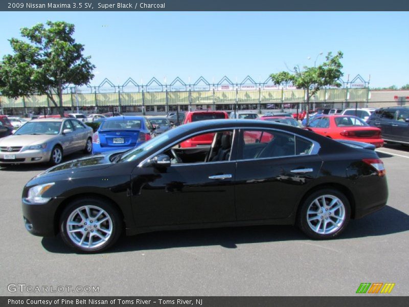 Super Black / Charcoal 2009 Nissan Maxima 3.5 SV