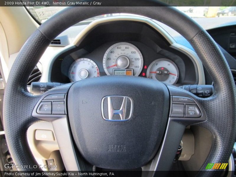 Nimbus Gray Metallic / Gray 2009 Honda Pilot EX 4WD