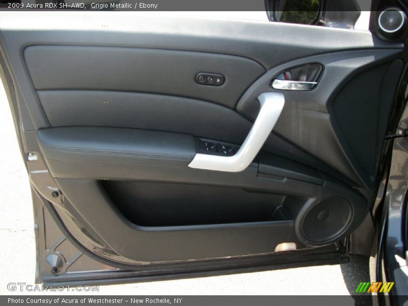 Grigio Metallic / Ebony 2009 Acura RDX SH-AWD