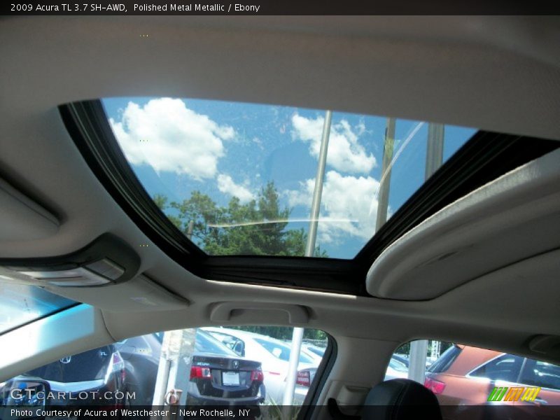 Polished Metal Metallic / Ebony 2009 Acura TL 3.7 SH-AWD