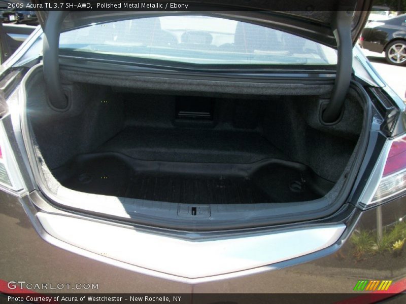 Polished Metal Metallic / Ebony 2009 Acura TL 3.7 SH-AWD