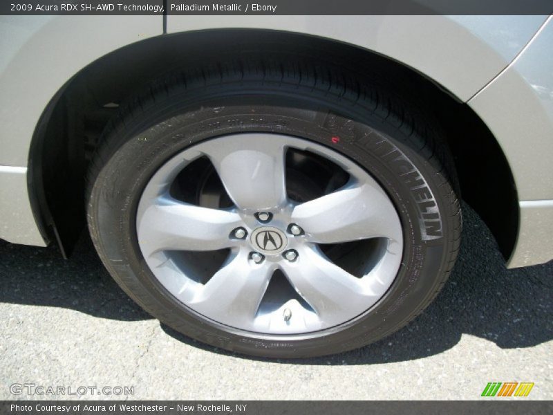 Palladium Metallic / Ebony 2009 Acura RDX SH-AWD Technology