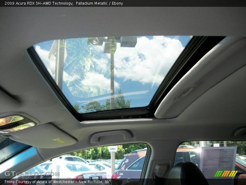 Palladium Metallic / Ebony 2009 Acura RDX SH-AWD Technology