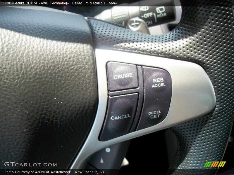Palladium Metallic / Ebony 2009 Acura RDX SH-AWD Technology