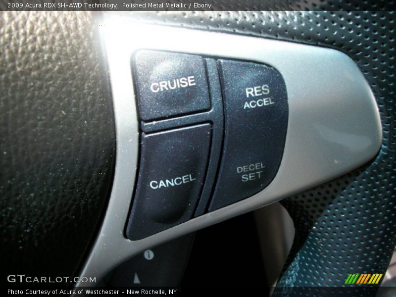 Polished Metal Metallic / Ebony 2009 Acura RDX SH-AWD Technology