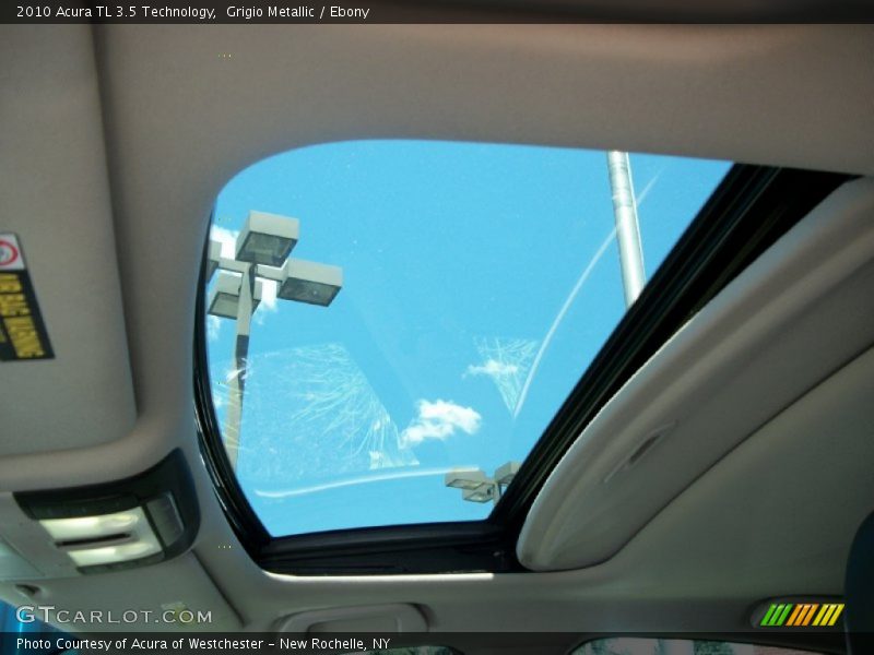 Grigio Metallic / Ebony 2010 Acura TL 3.5 Technology