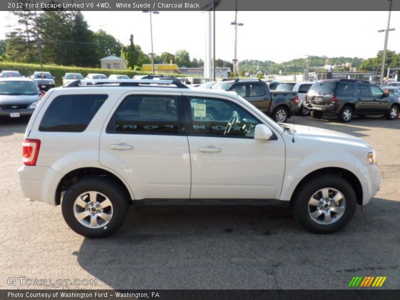 White Suede / Charcoal Black 2012 Ford Escape Limited V6 4WD