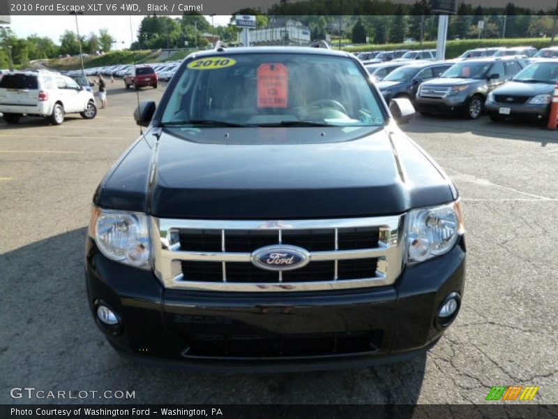 Black / Camel 2010 Ford Escape XLT V6 4WD